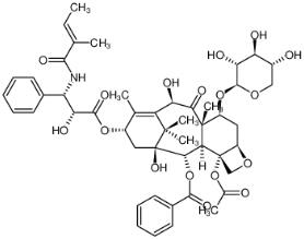 7-Xylosyl-10-deacetyltaxol B
